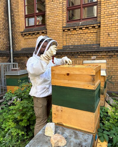 Summen, staunen, entdecken

Die Kinder unserer Kita Bunte Burg waren zu Gast im Ruhehof und konnten die Bienen aus...