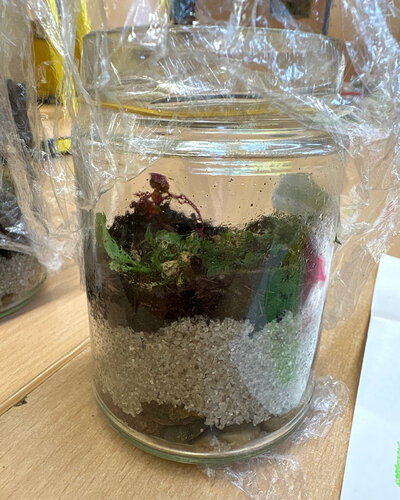  Wenn es im Glas regnet!

Wie funktioniert eigentlich der Wasserkreislauf? Im Sachunterricht gingen unsere Schülerinnen...